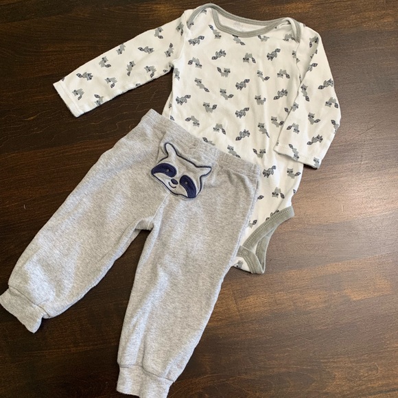carter's raccoon outfit
